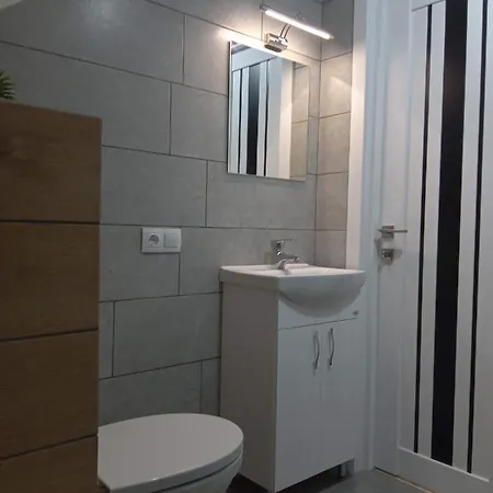 Vip 39 Kn Olgy St