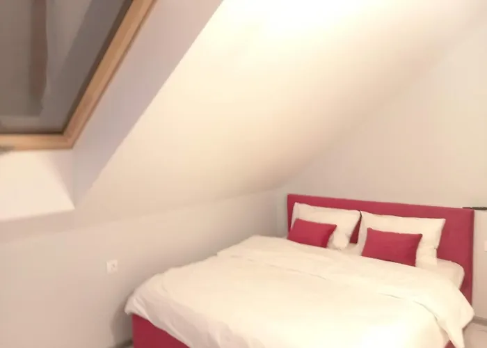 Vip 39 Kn Olgy St דירה *